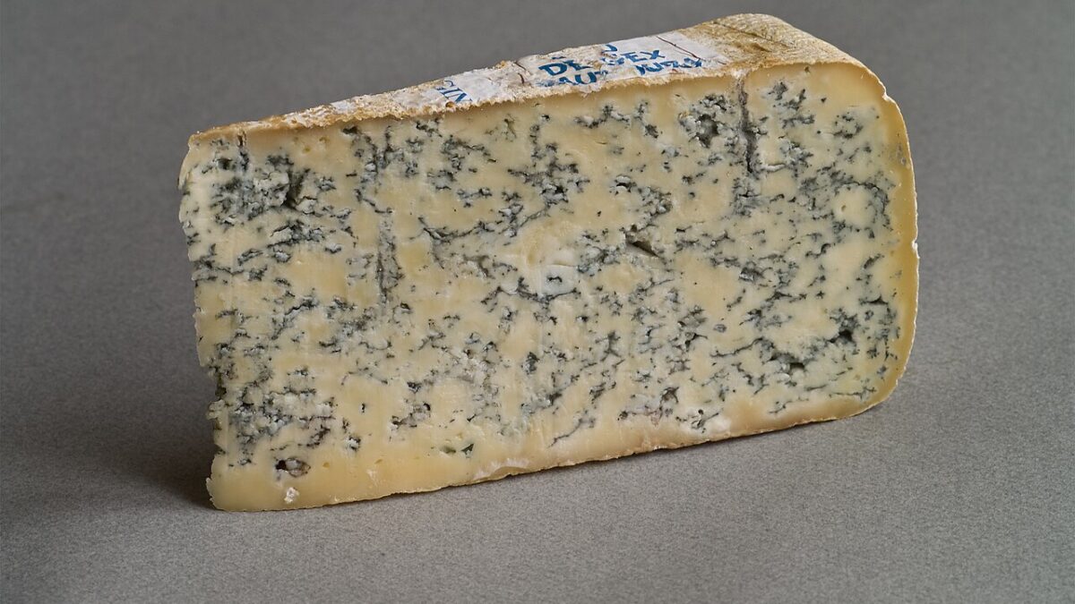 Bleu de Gex