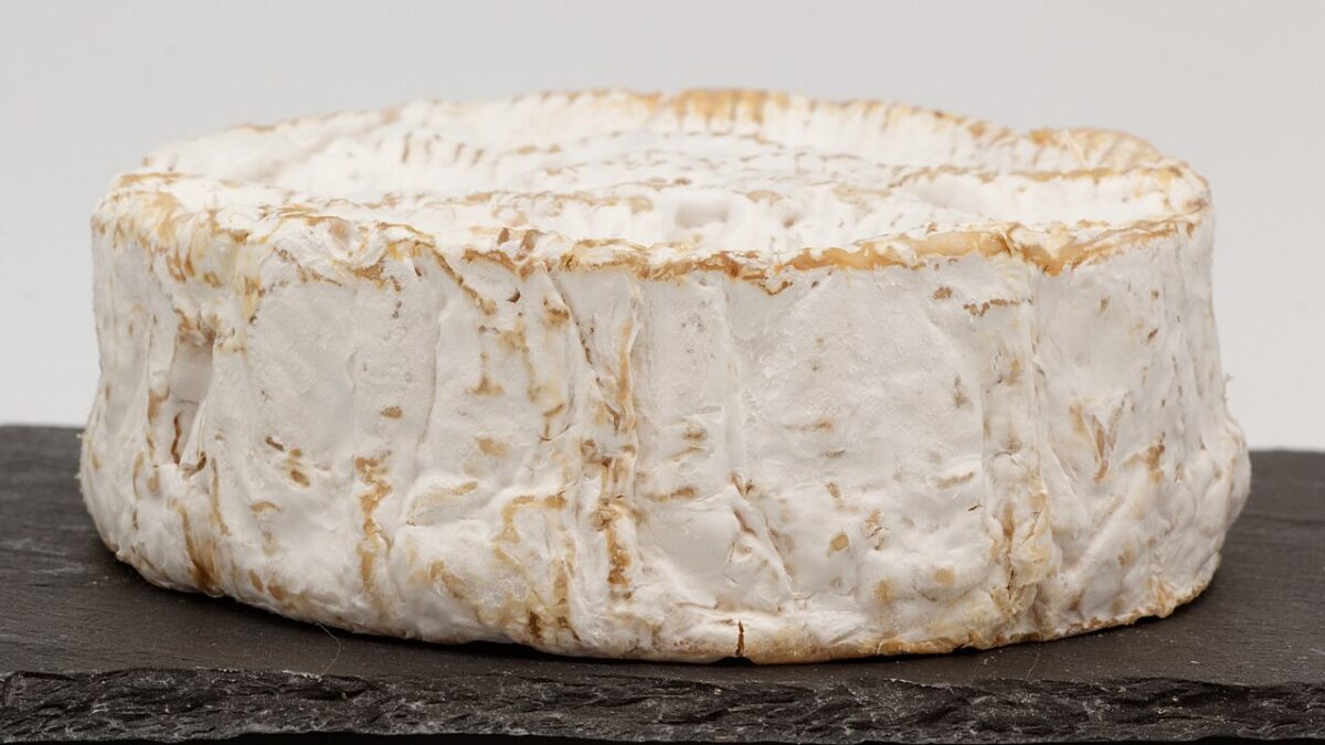 Camembert de Normandie
