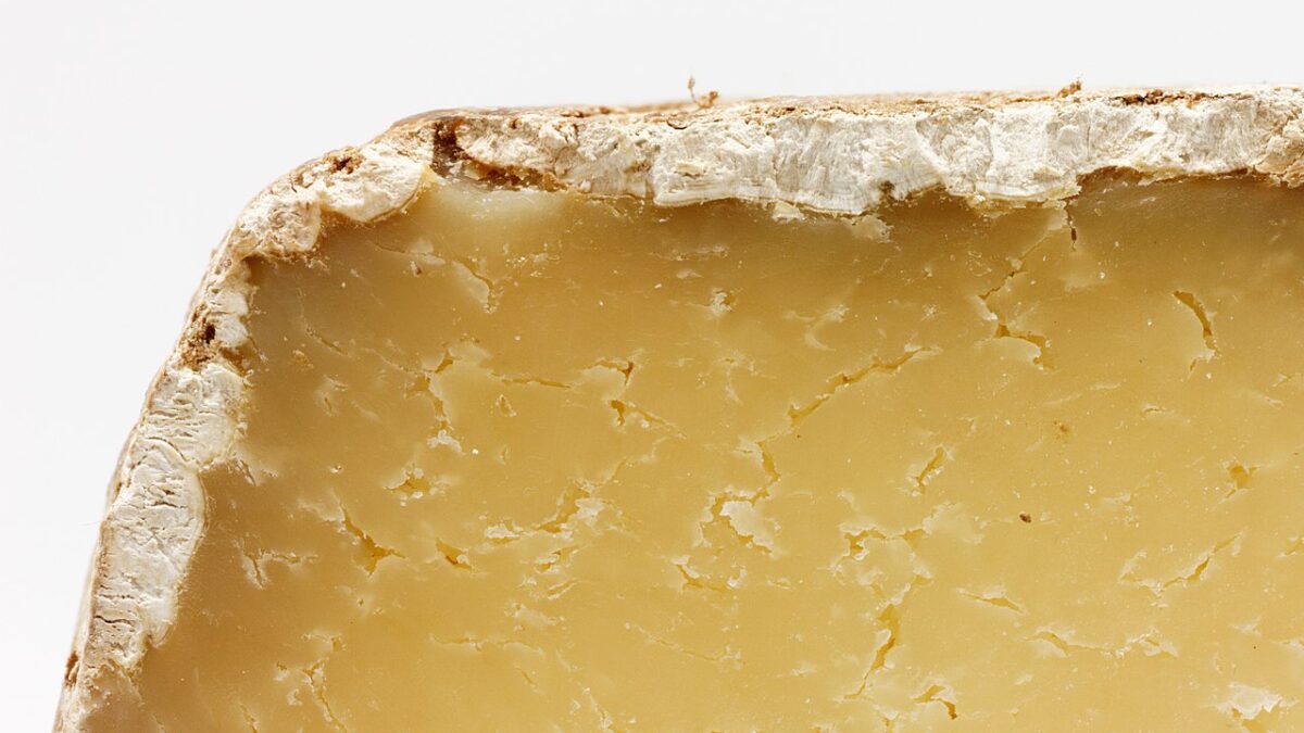Cantal