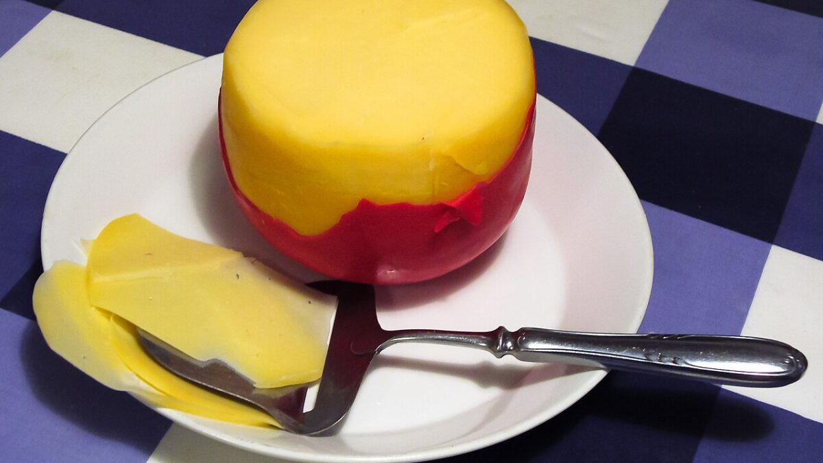 Edam