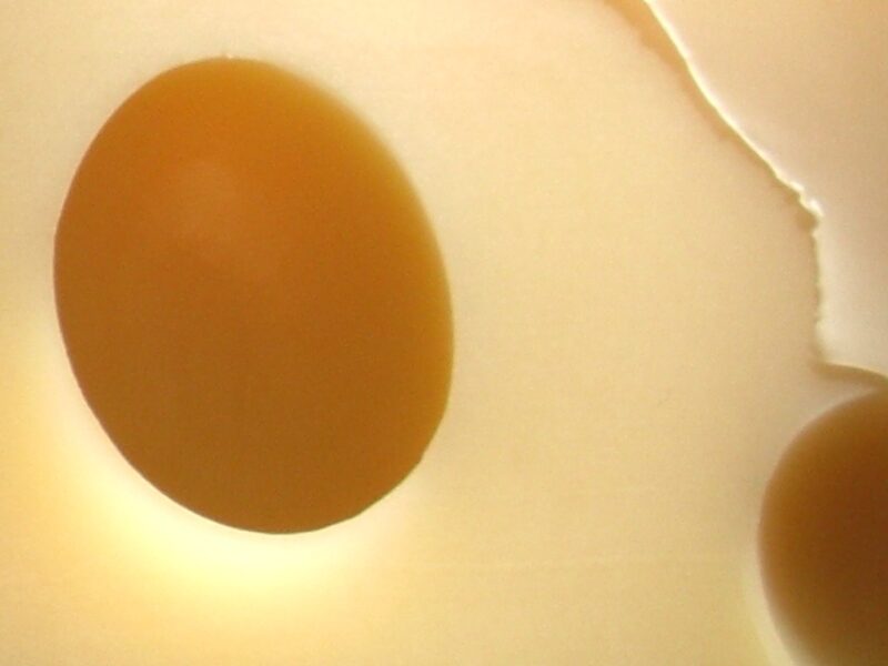 Emmental