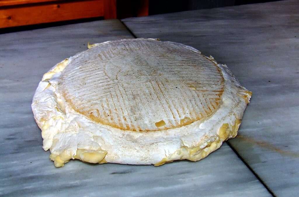Flor de Guía