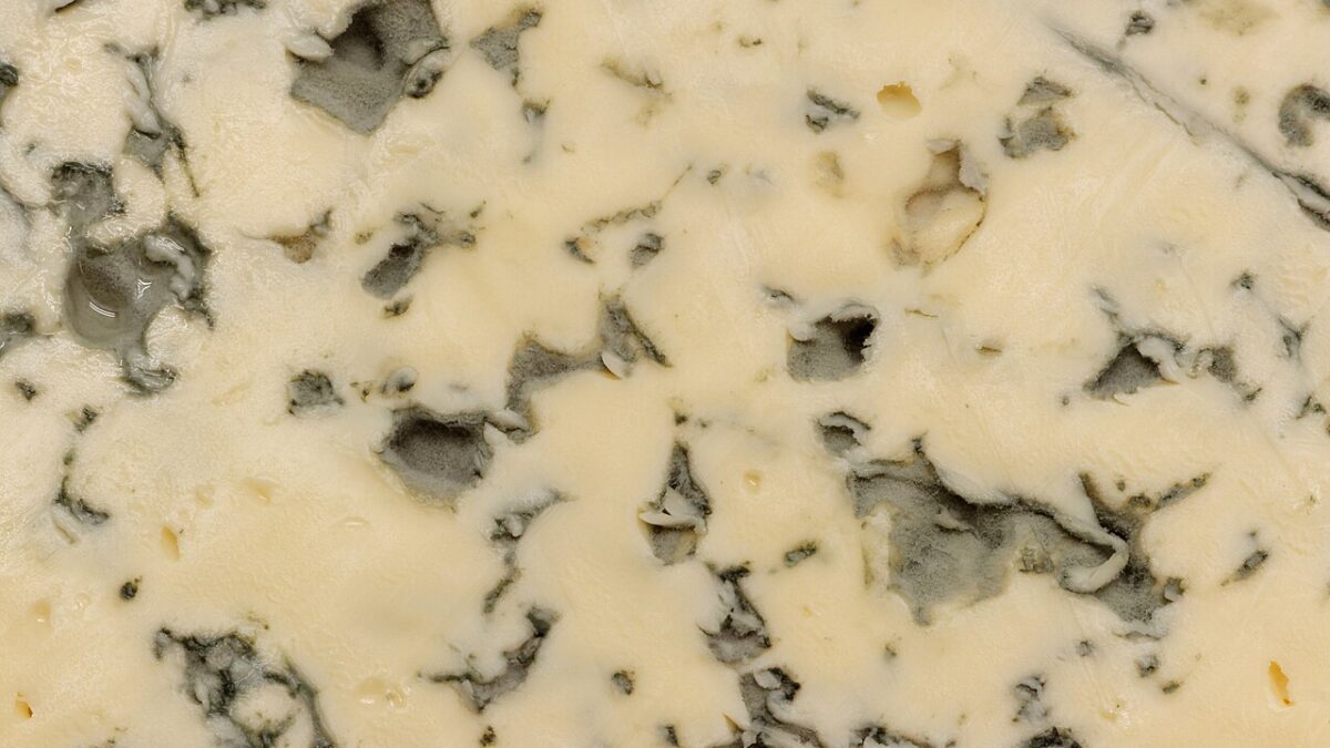 Fourme d’Ambert