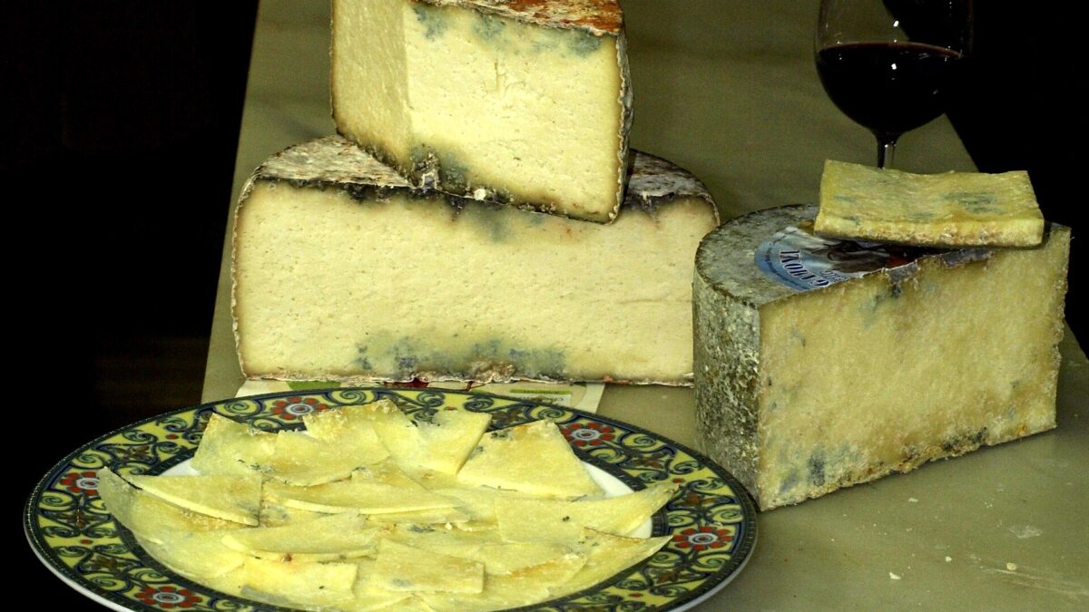 Gamonéu