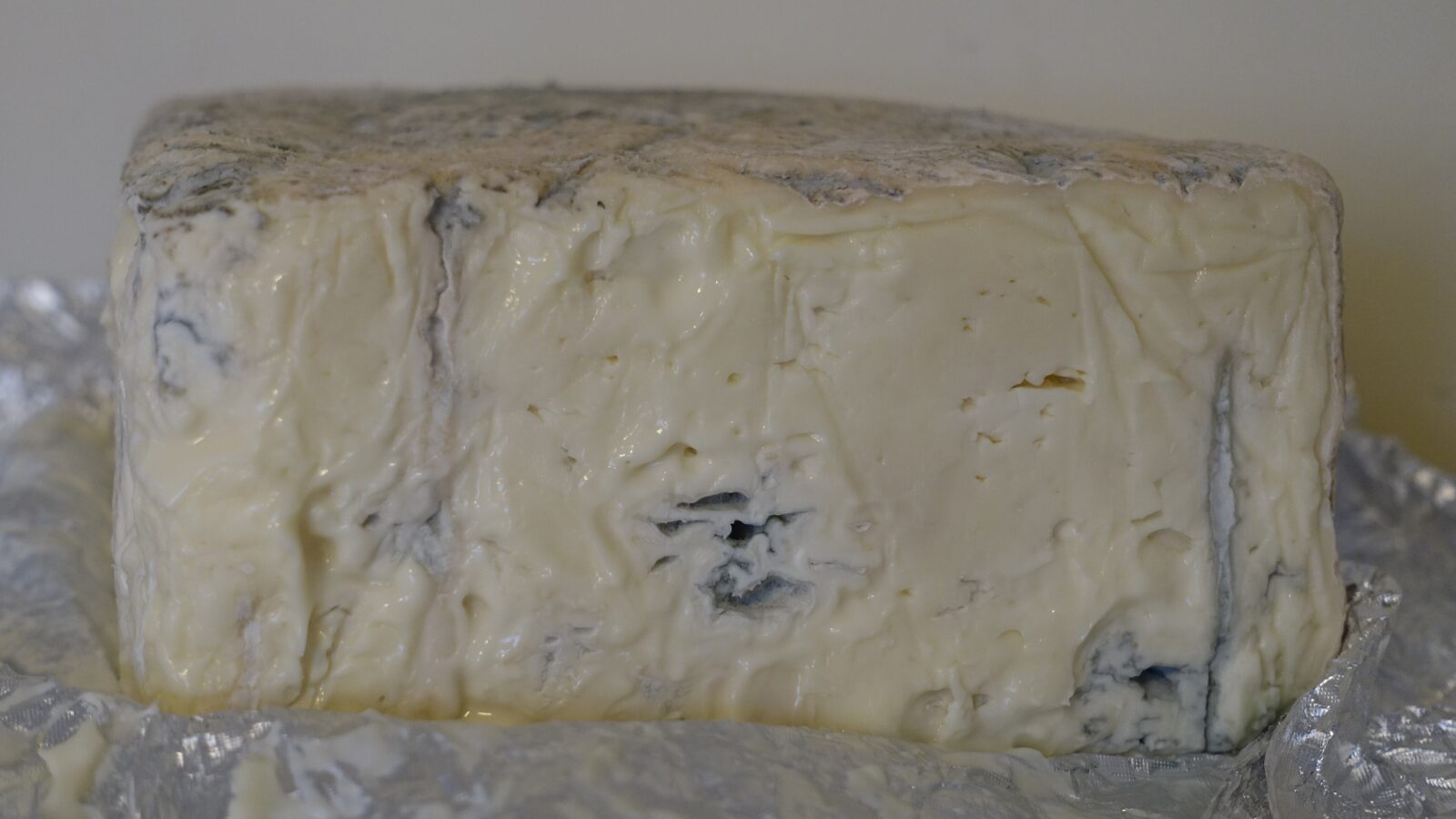 Gorgonzola