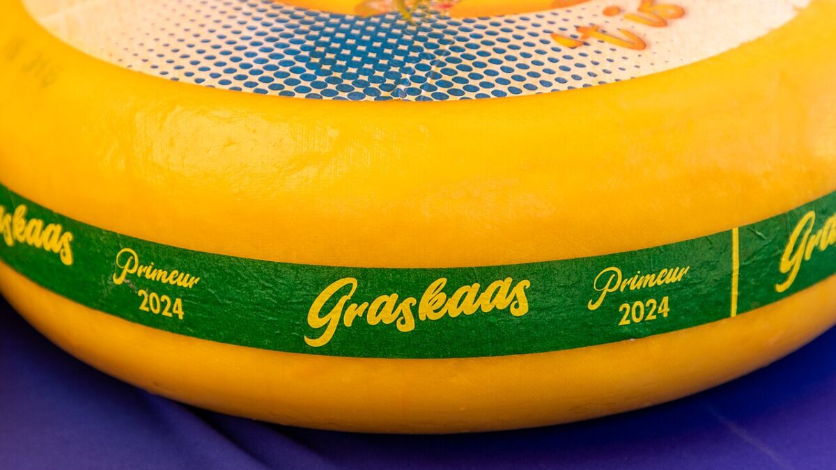 Gouda
