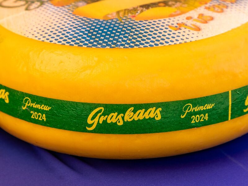 Gouda