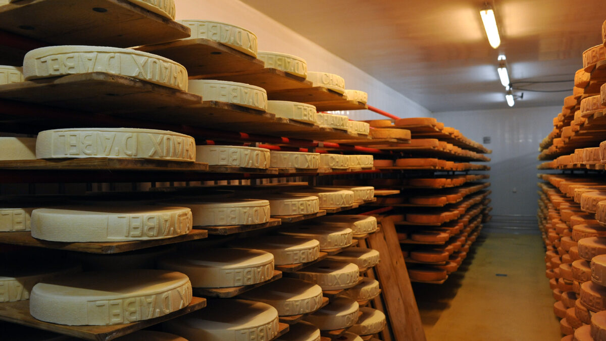 Los dos libros sobre queso que merece la pena tener en la estantería
