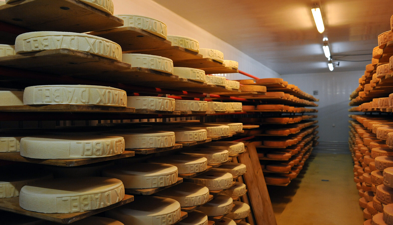 Los dos libros sobre queso que conviene tener en la estantería