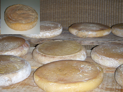 Queso de la Serena