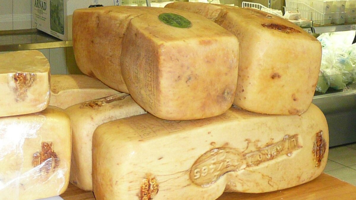 Ragusano