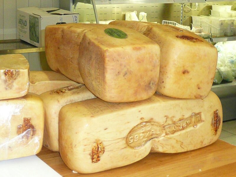 Ragusano