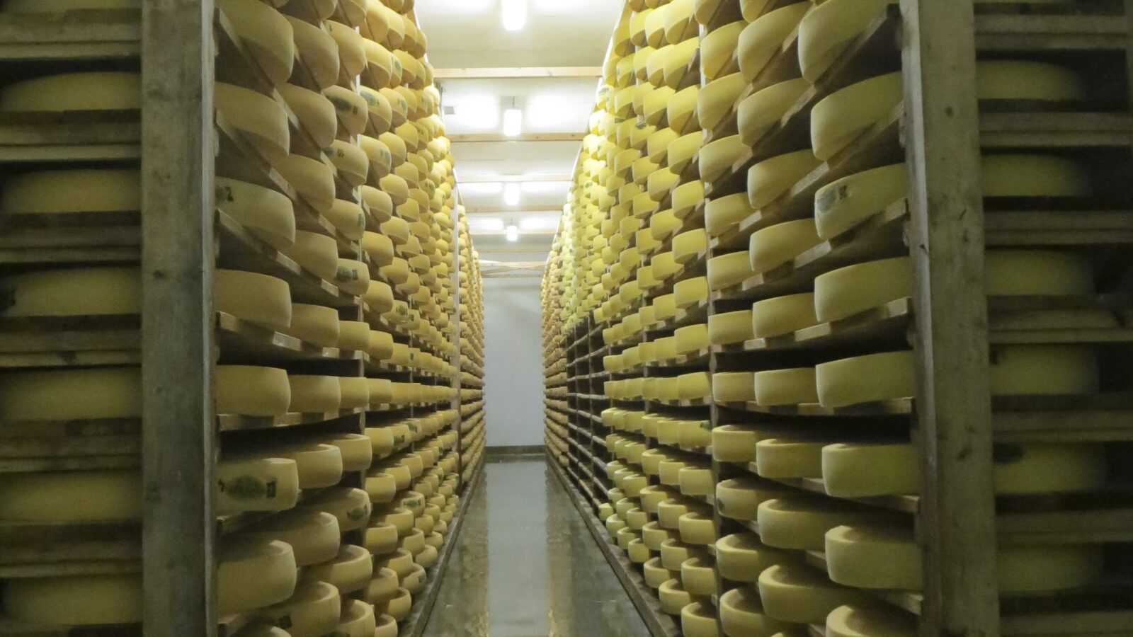 Cinco quesos AOP franceses: Comté, Beaufort, Saint-Nectaire, Cantal y Munster