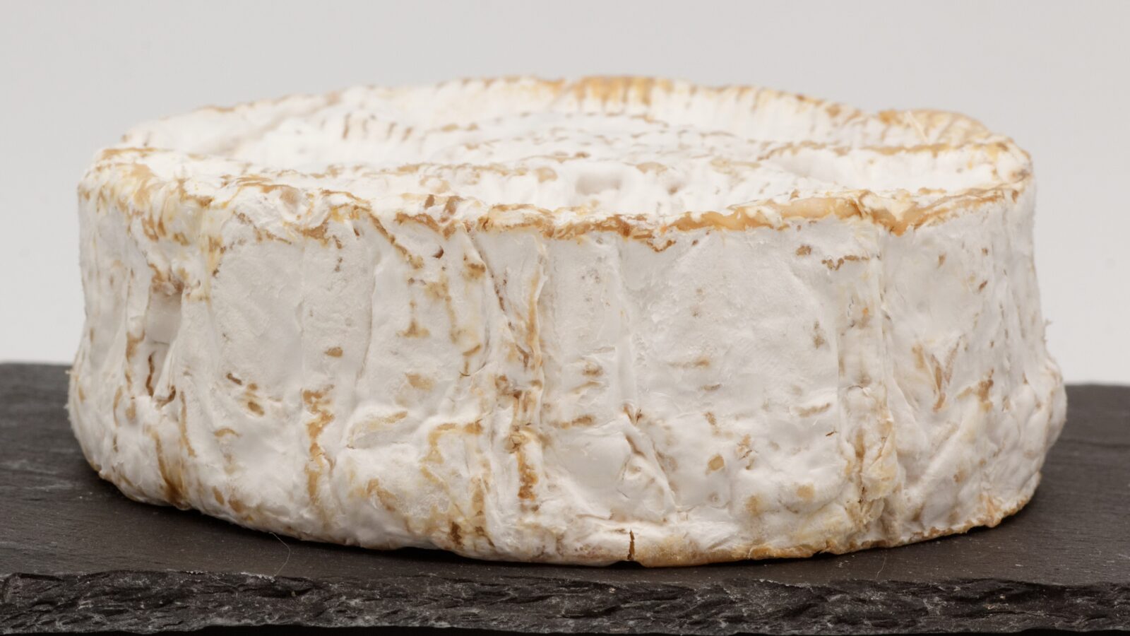 Ocho quesos franceses con AOP: Roquefort, Camembert de Normandie, Comté, Munster, Beaufort, Saint-Nectaire, Époisses y Livarot