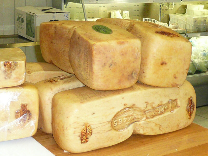 Ragusano